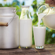 Ilustración para el artículo titulado La leche cruda está detrás de 96 de cada 100 intoxicaciones por lácteos en Estados Unidos